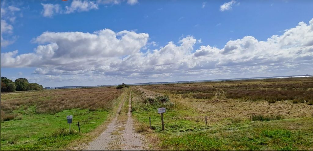 Sundische Wiesen - Zingst